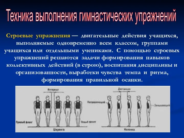 Техника выполнения гимнастических упражнений Строевые упражнения — двигательные действия учащихся, выполняемые