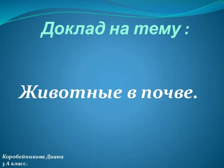 Презентация на тему Животные в почве