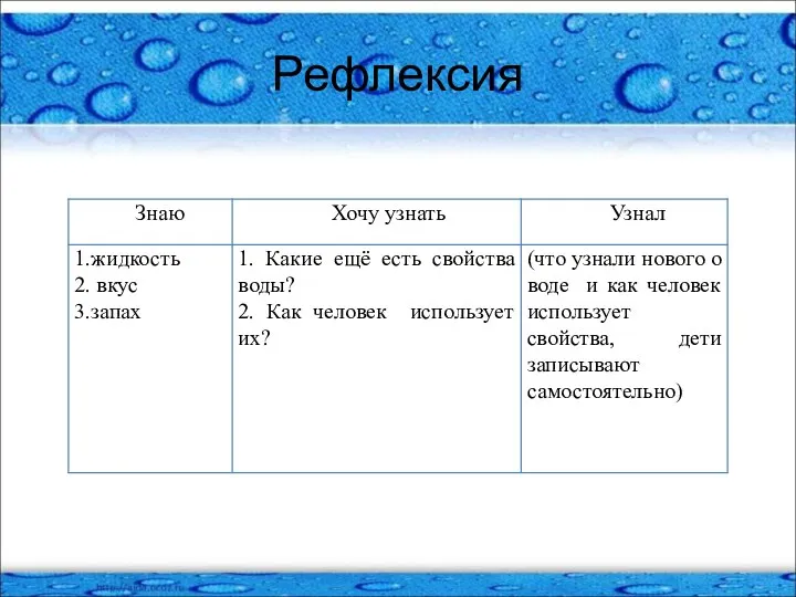 Рефлексия