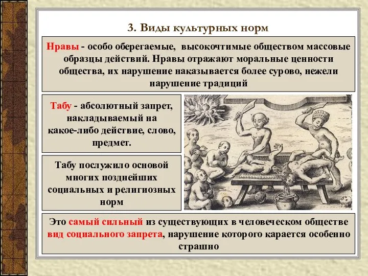 3. Виды культурных норм Нравы - особо оберегаемые, высокочтимые обществом массовые