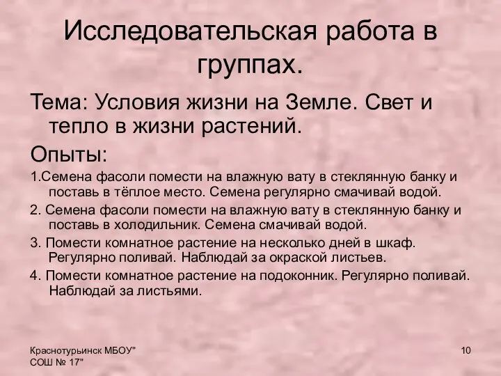 Краснотурьинск МБОУ"СОШ № 17" Исследовательская работа в группах. Тема: Условия жизни