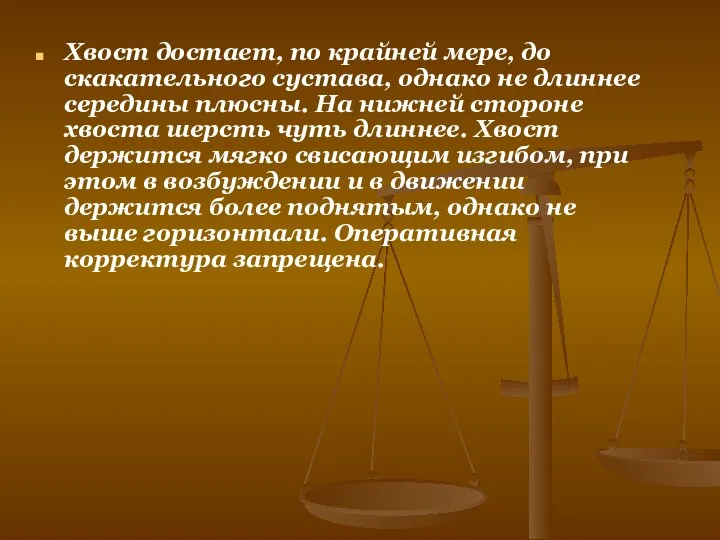 Хвост достает, по крайней мере, до скакательного сустава, однако не длиннее