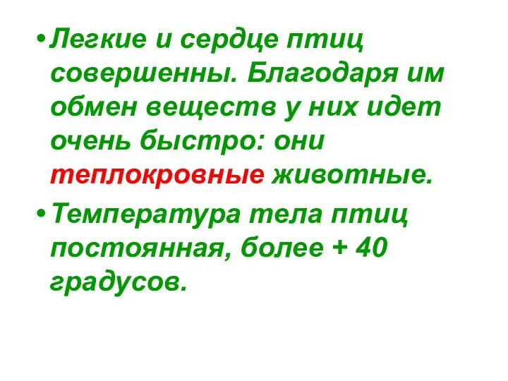 Легкие и сердце птиц совершенны. Благодаря им обмен веществ у них