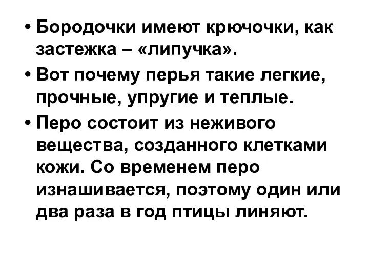 Бородочки имеют крючочки, как застежка – «липучка». Вот почему перья такие