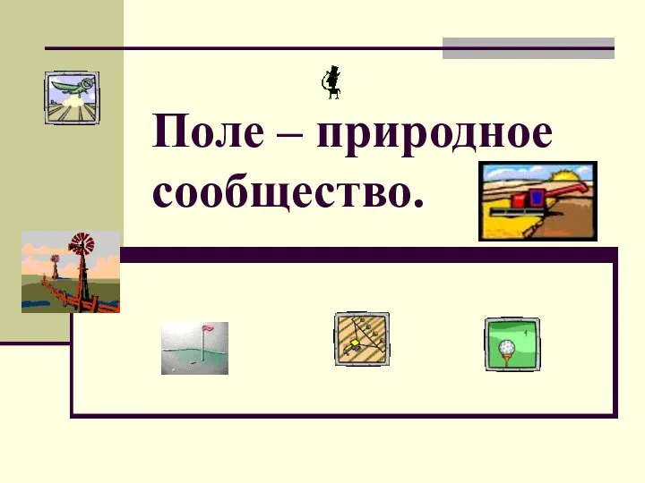 Презентация на тему Поле – природное сообщество.