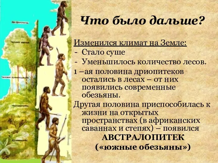 Что было дальше? Изменился климат на Земле: Стало суше Уменьшилось количество