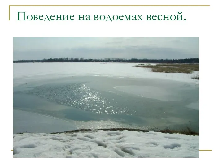 Поведение на водоемах весной.