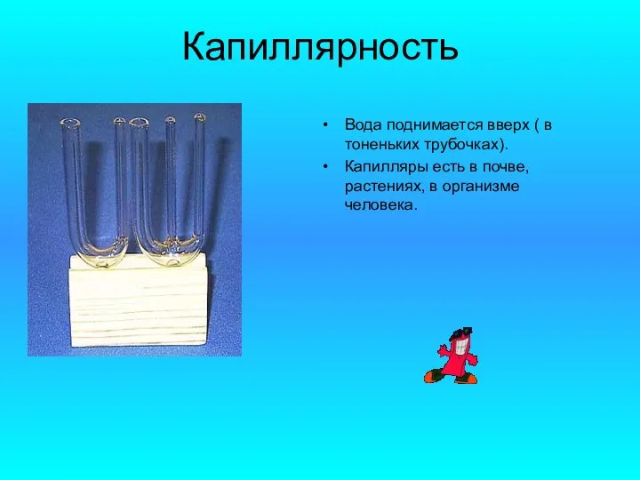 Капиллярность Вода поднимается вверх ( в тоненьких трубочках). Капилляры есть в почве, растениях, в организме человека.