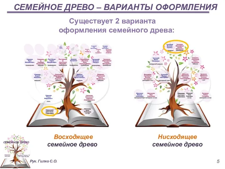 СЕМЕЙНОЕ ДРЕВО – ВАРИАНТЫ ОФОРМЛЕНИЯ Существует 2 варианта оформления семейного древа: