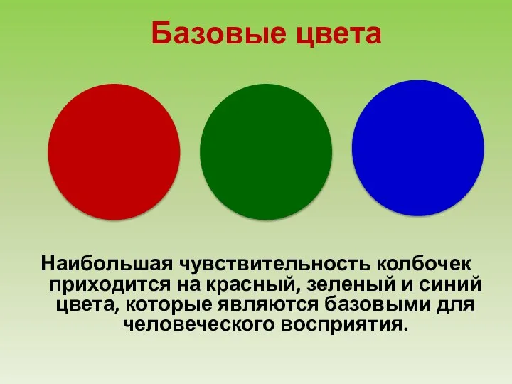 Базовые цвета Наибольшая чувствительность колбочек приходится на красный, зеленый и синий