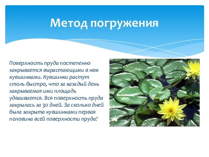 Поверхность пруда постепенно закрывается вырастающими в нем кувшинками. Кувшинки растут столь