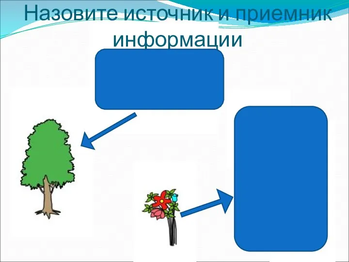 Назовите источник и приемник информации