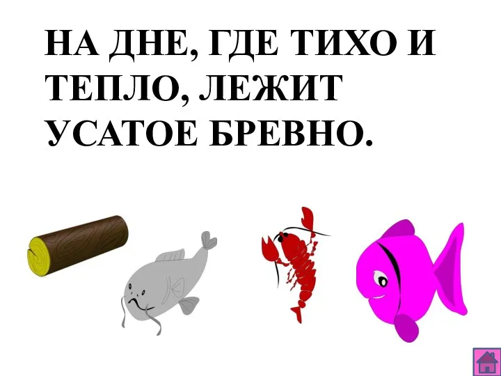 НА ДНЕ, ГДЕ ТИХО И ТЕПЛО, ЛЕЖИТ УСАТОЕ БРЕВНО.