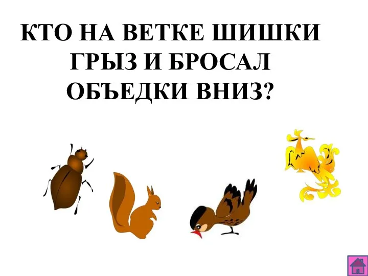 КТО НА ВЕТКЕ ШИШКИ ГРЫЗ И БРОСАЛ ОБЪЕДКИ ВНИЗ?