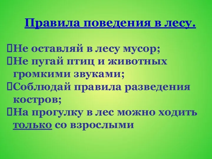 Правила поведения в лесу. Не оставляй в лесу мусор; Не пугай