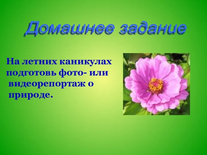 Домашнее задание На летних каникулах подготовь фото- или видеорепортаж о природе.