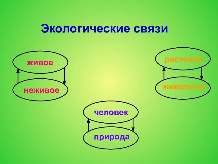 Экологические связи живое неживое растения животные человек природа