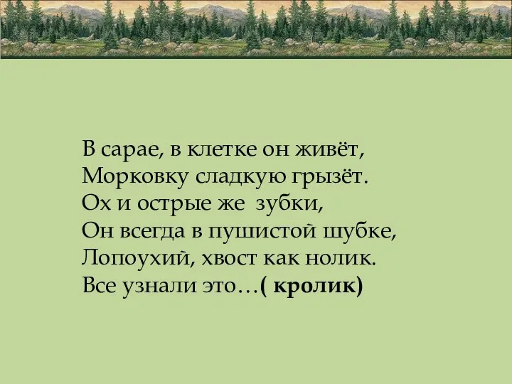 В сарае, в клетке он живёт, Морковку сладкую грызёт. Ох и