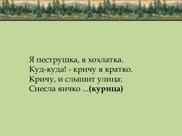 Я пеструшка, я хохлатка. Куд-куда! - кричу я кратко. Кричу, и слышит улица: Снесла яичко ...(курица)