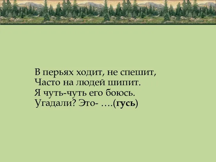 В перьях ходит, не спешит, Часто на людей шипит. Я чуть-чуть его боюсь. Угадали? Это- ….(гусь)