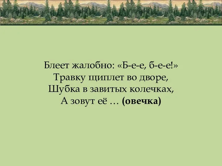 Блеет жалобно: «Б-е-е, б-е-е!» Травку щиплет во дворе, Шубка в завитых