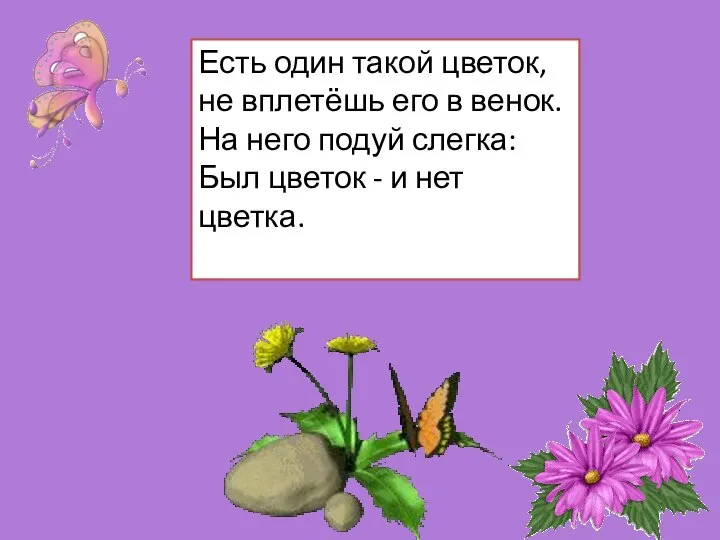 Есть один такой цветок, не вплетёшь его в венок. На него