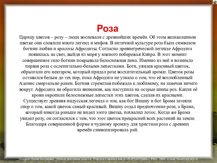 Роза Царицу цветов – розу – люди воспевали с древнейших времён.