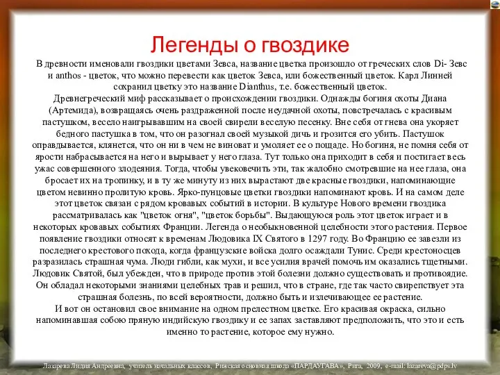 Легенды о гвоздике В древности именовали гвоздики цветами Зевса, название цветка