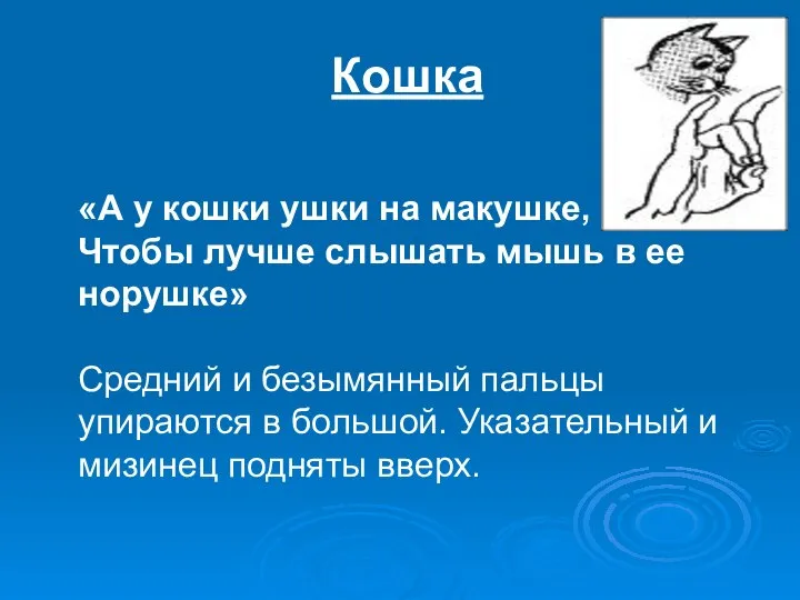 Кошка «А у кошки ушки на макушке, Чтобы лучше слышать мышь