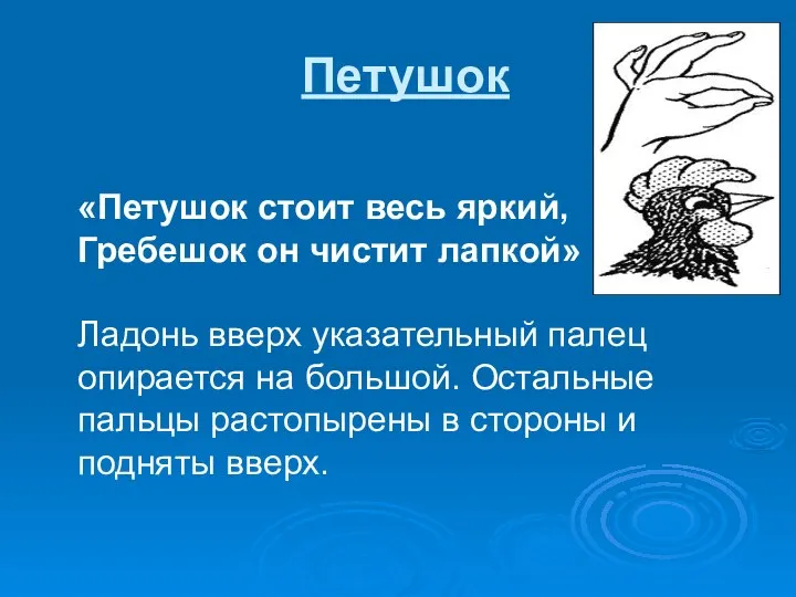 Петушок «Петушок стоит весь яркий, Гребешок он чистит лапкой» Ладонь вверх