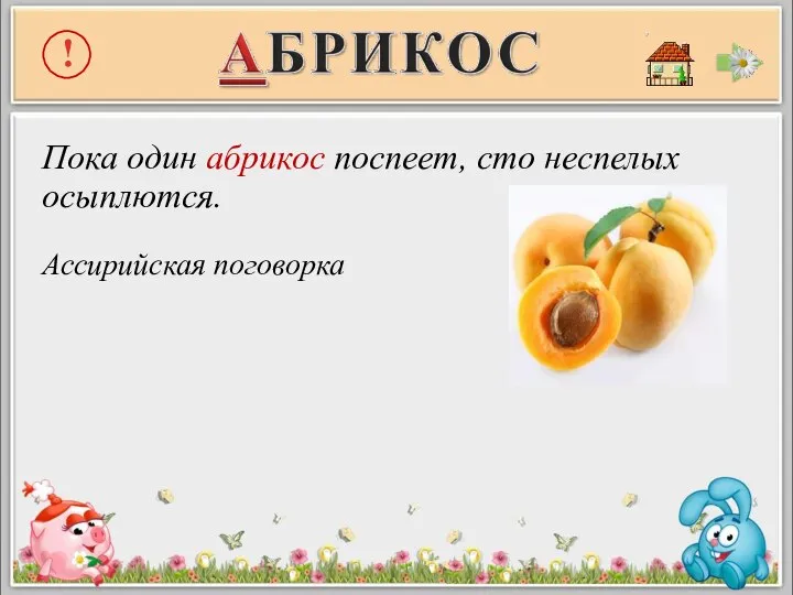 Пока один абрикос поспеет, сто неспелых осыплются. Ассирийская поговорка !