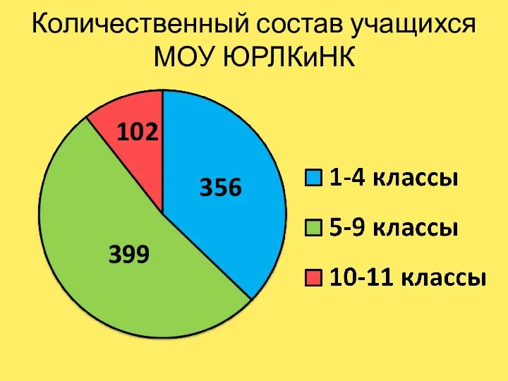 Количественный состав учащихся МОУ ЮРЛКиНК 356 102 399