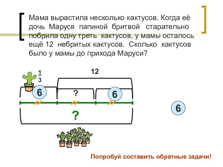 Мама вырастила несколько кактусов. Когда её дочь Маруся папиной бритвой старательно