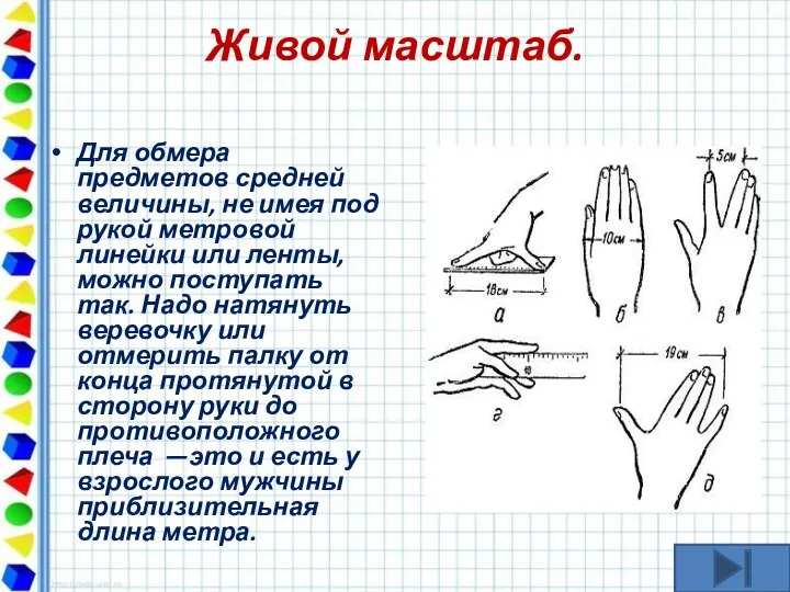 Живой масштаб. Для обмера предметов средней величины, не имея под рукой