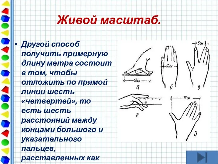 Живой масштаб. Другой способ получить примерную длину метра состоит в том,