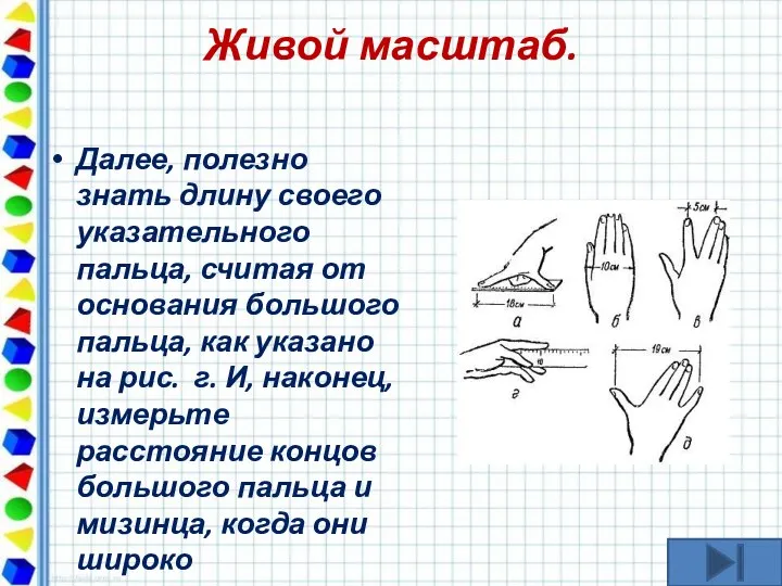 Живой масштаб. Далее, полезно знать длину своего указательного пальца, считая от