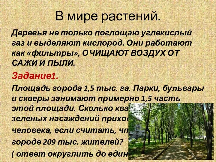 В мире растений. Деревья не только поглощаю углекислый газ и выделяют