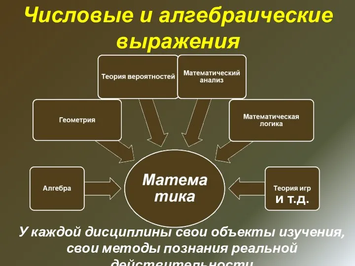 и т.д. У каждой дисциплины свои объекты изучения, свои методы познания