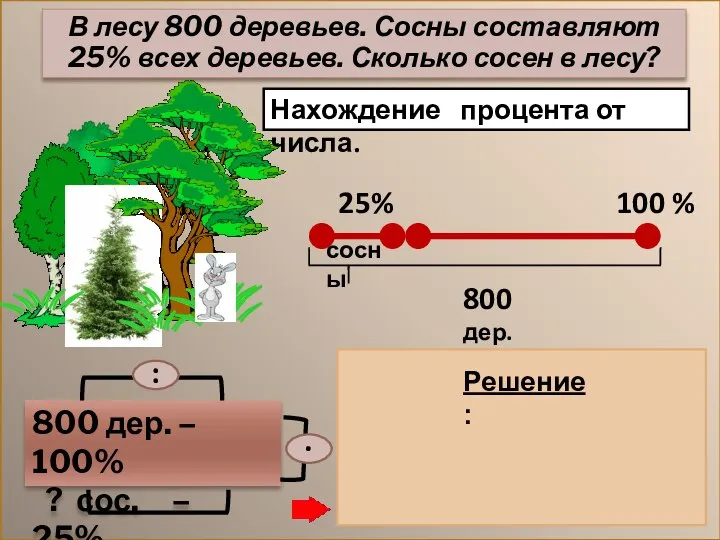 Нахождение процента от числа. 800 дер. – 100% ? сос. –