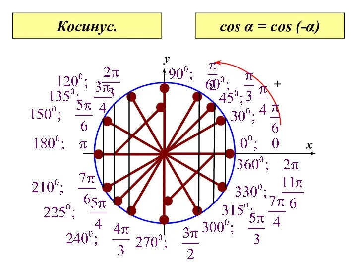 0 x y Косинус. cos α = cos (-α)
