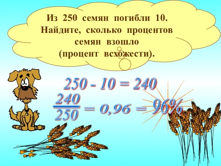 Из 250 семян погибли 10. Найдите, сколько процентов семян взошло (процент