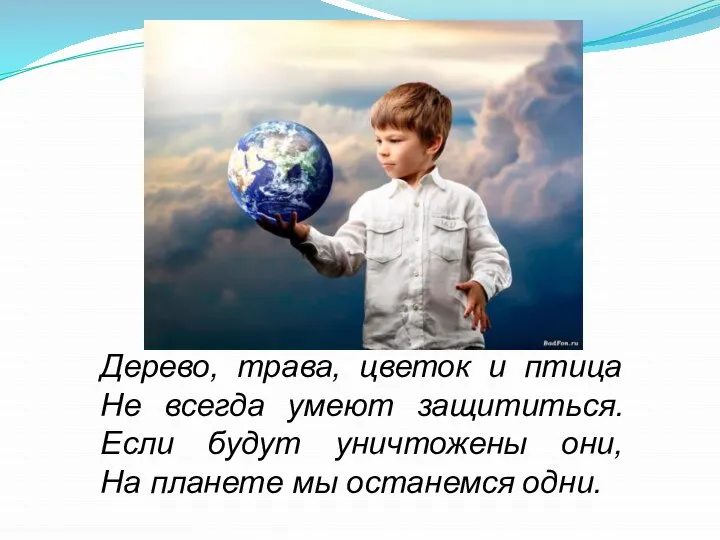 Дерево, трава, цветок и птица Не всегда умеют защититься. Если будут