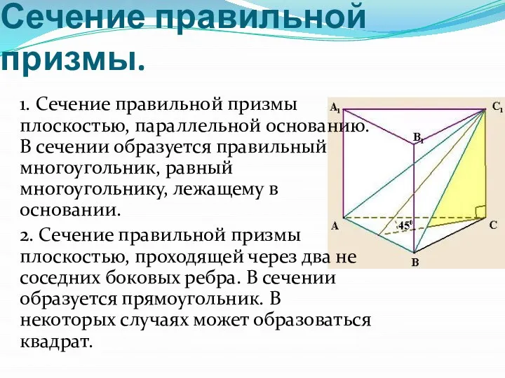 Сечение правильной призмы. 1. Сечение правильной призмы плоскостью, параллельной основанию. В