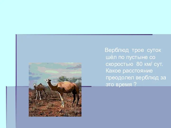 Верблюд трое суток шёл по пустыне со скоростью 80 км/ сут.