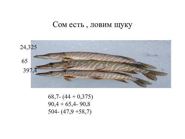 Сом есть , ловим щуку 68,7- (44 + 0,375) 90,4 +