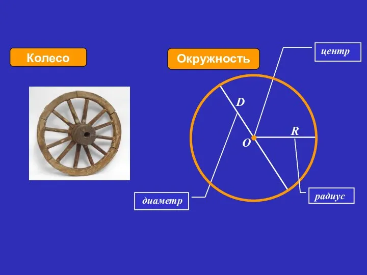 диаметр Окружность Колесо центр R D O радиус