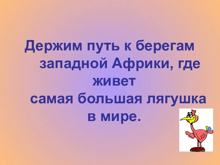 Держим путь к берегам западной Африки, где живет самая большая лягушка в мире.