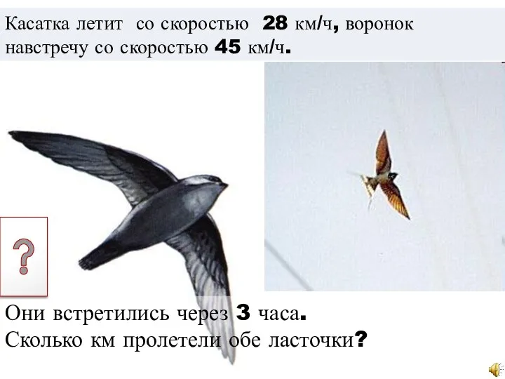 Касатка летит со скоростью 28 км/ч, воронок навстречу со скоростью 45