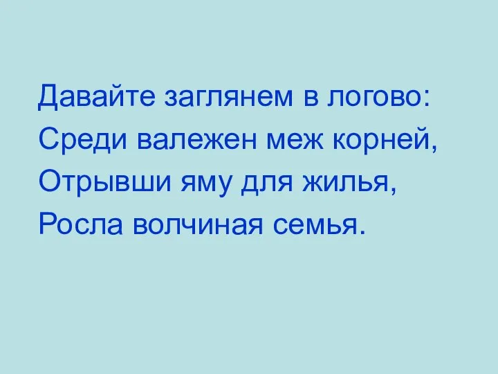 Давайте заглянем в логово: Среди валежен меж корней, Отрывши яму для жилья, Росла волчиная семья.