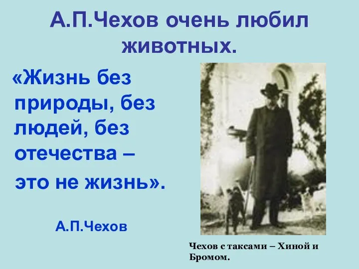 А.П.Чехов очень любил животных. «Жизнь без природы, без людей, без отечества